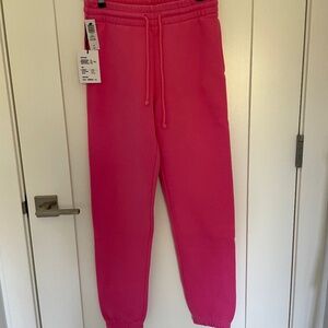 Aritzia-TNA Cozy Perfect Jogger Sweatpants